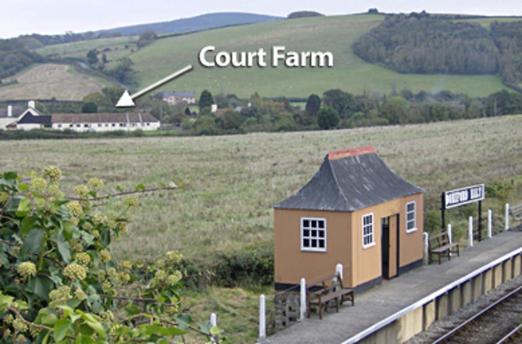 Court Farm Holiday Bungalows Ltd ウォチェット エクステリア 写真